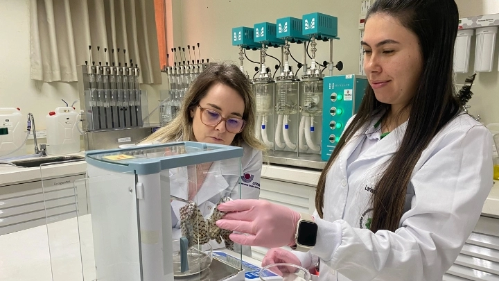 Pesquisadoras analisando colágeno de tilápia unioeste